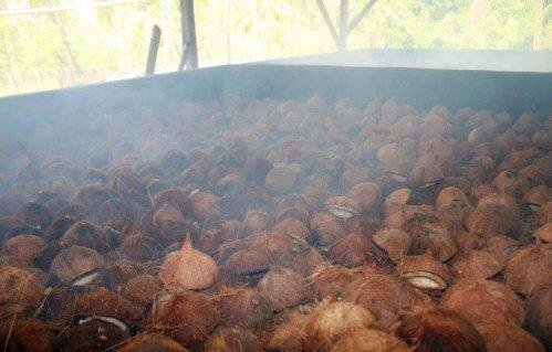 Sustainable Processing